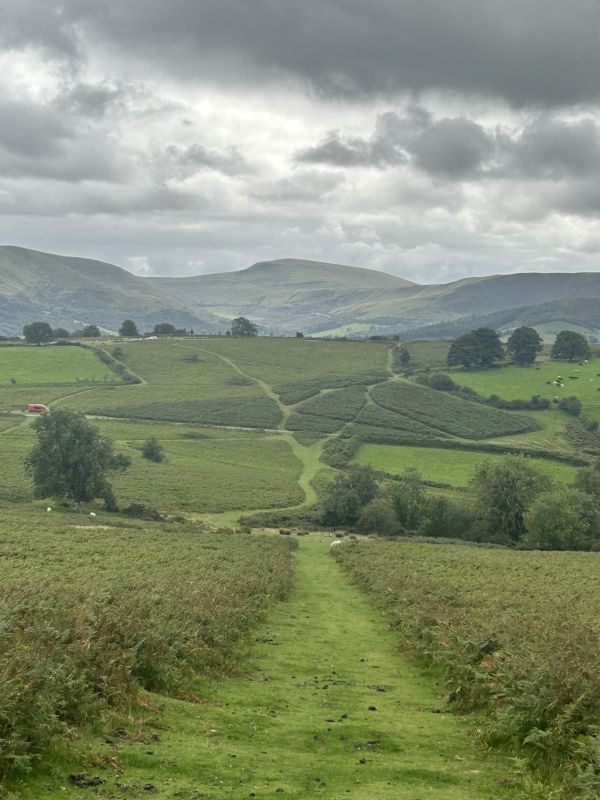 Mynydd Illtud